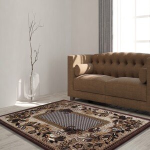 Kvalitní hnědý koberec do obýváku Šířka: 80 cm | Délka: 150 cm