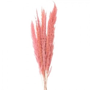Sušené květy Růžové 100 cm (10) – 100 cm