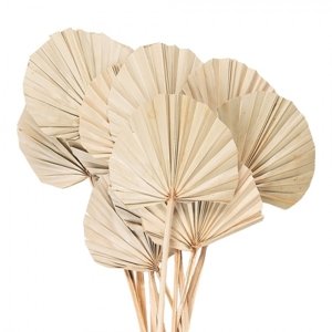Béžová kytice sušené palmové listy – 55cm