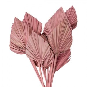 Růžová kytice sušené palmové listy – 55 cm