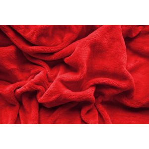 Top textil Prostěradlo Mikroplyš 90x200 cm červená
