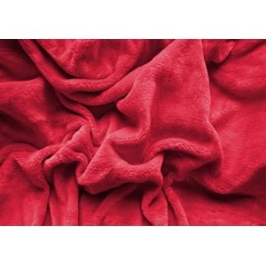 Top textil Prostěradlo Mikroplyš 180x200 cm červená